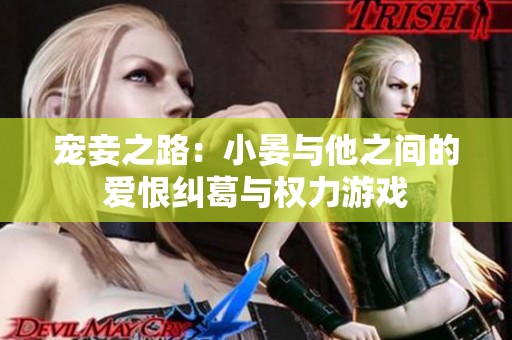 宠妾之路：小晏与他之间的爱恨纠葛与权力游戏