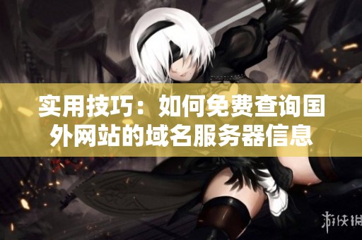 实用技巧：如何免费查询国外网站的域名服务器信息