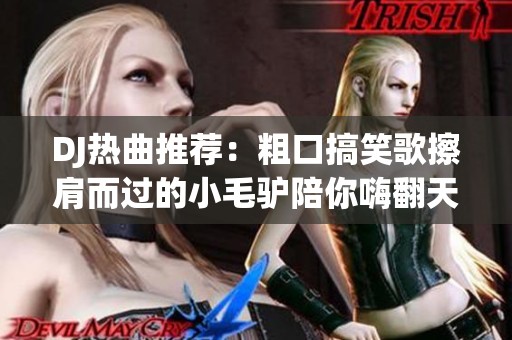 DJ热曲推荐：粗口搞笑歌擦肩而过的小毛驴陪你嗨翻天
