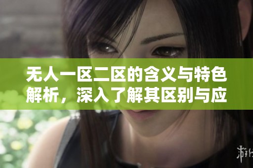 无人一区二区的含义与特色解析，深入了解其区别与应用价值