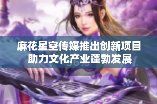 麻花星空传媒推出创新项目 助力文化产业蓬勃发展
