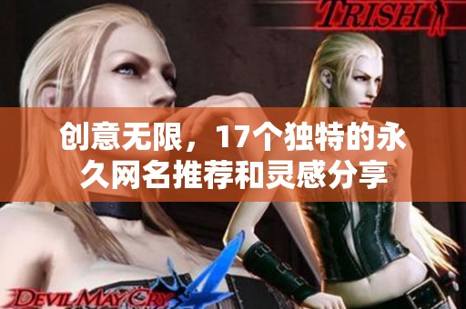 创意无限，17个独特的永久网名推荐和灵感分享