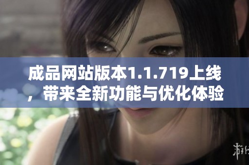 成品网站版本1.1.719上线，带来全新功能与优化体验