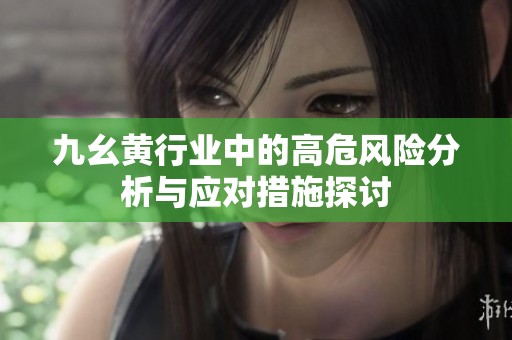 九幺黄行业中的高危风险分析与应对措施探讨