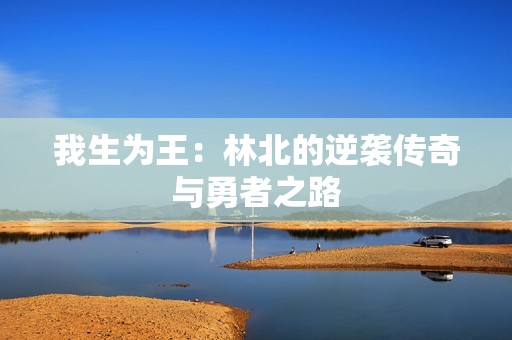 我生为王：林北的逆袭传奇与勇者之路