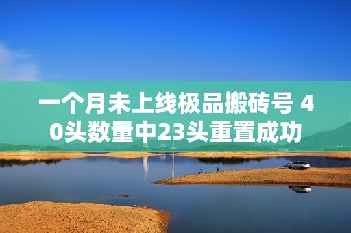一个月未上线极品搬砖号 40头数量中23头重置成功