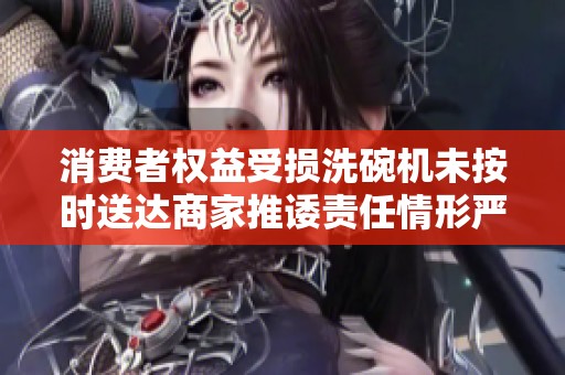 消费者权益受损洗碗机未按时送达商家推诿责任情形严重