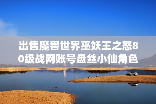 出售魔兽世界巫妖王之怒80级战网账号盘丝小仙角色