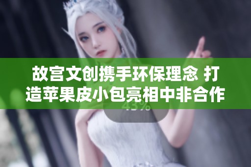 故宫文创携手环保理念 打造苹果皮小包亮相中非合作论坛