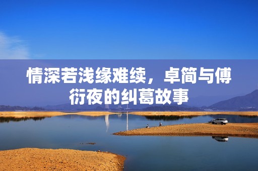 情深若浅缘难续，卓简与傅衍夜的纠葛故事