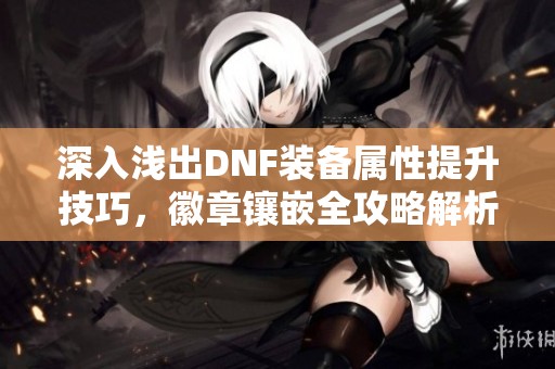 深入浅出DNF装备属性提升技巧，徽章镶嵌全攻略解析