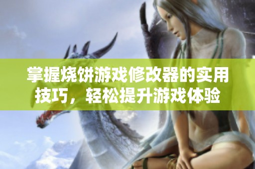 掌握烧饼游戏修改器的实用技巧，轻松提升游戏体验