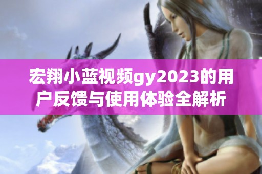 宏翔小蓝视频gy2023的用户反馈与使用体验全解析