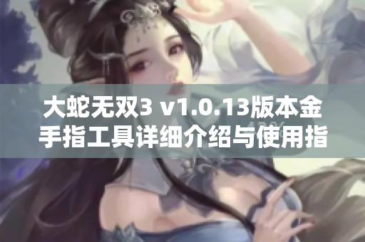 大蛇无双3 v1.0.13版本金手指工具详细介绍与使用指南