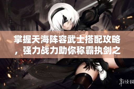 掌握天海阵容武士搭配攻略，强力战力助你称霸执剑之刻战场！