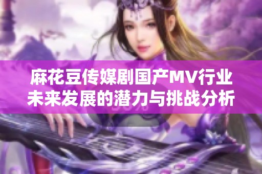 麻花豆传媒剧国产MV行业未来发展的潜力与挑战分析