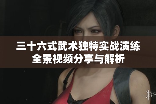 三十六式武术独特实战演练全景视频分享与解析