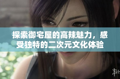 探索御宅屋的高辣魅力，感受独特的二次元文化体验