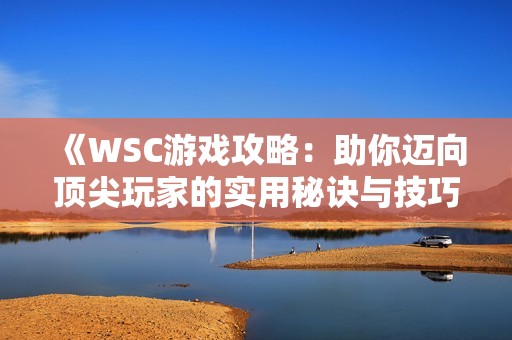 《WSC游戏攻略：助你迈向顶尖玩家的实用秘诀与技巧》