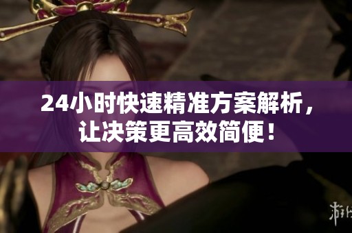 24小时快速精准方案解析，让决策更高效简便！