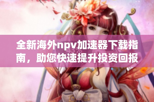 全新海外npv加速器下载指南，助您快速提升投资回报