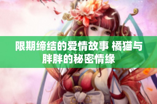 限期缔结的爱情故事 橘猫与胖胖的秘密情缘