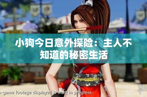 小狗今日意外探险：主人不知道的秘密生活