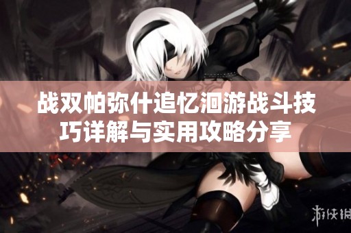 战双帕弥什追忆洄游战斗技巧详解与实用攻略分享
