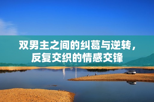 双男主之间的纠葛与逆转，反复交织的情感交锋