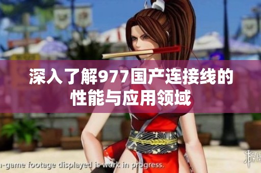 深入了解977国产连接线的性能与应用领域