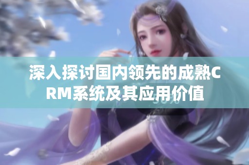 深入探讨国内领先的成熟CRM系统及其应用价值