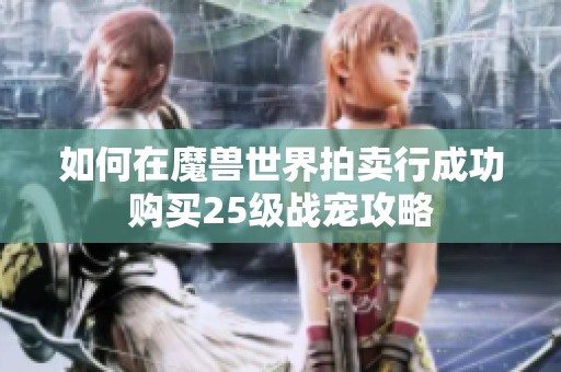 如何在魔兽世界拍卖行成功购买25级战宠攻略