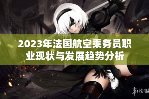 2023年法国航空乘务员职业现状与发展趋势分析