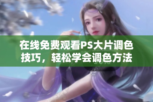 在线免费观看PS大片调色技巧，轻松学会调色方法