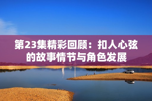 第23集精彩回顾：扣人心弦的故事情节与角色发展