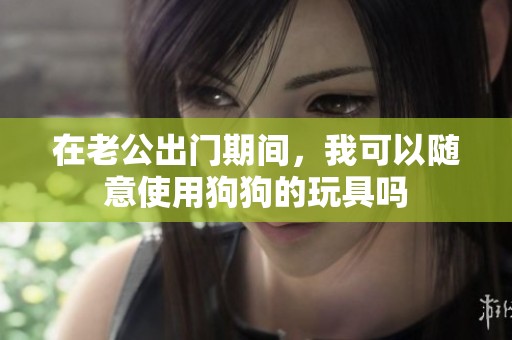 在老公出门期间，我可以随意使用狗狗的玩具吗