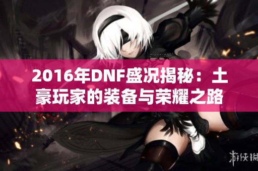 2016年DNF盛况揭秘：土豪玩家的装备与荣耀之路