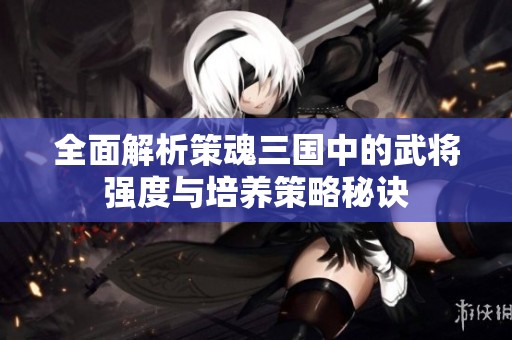 全面解析策魂三国中的武将强度与培养策略秘诀