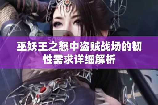 巫妖王之怒中盗贼战场的韧性需求详细解析