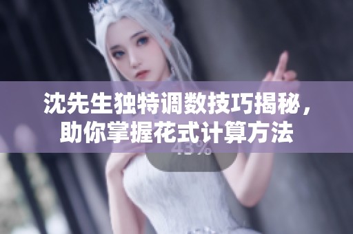 沈先生独特调数技巧揭秘，助你掌握花式计算方法