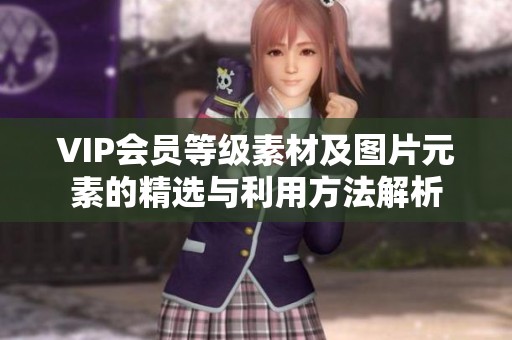 VIP会员等级素材及图片元素的精选与利用方法解析