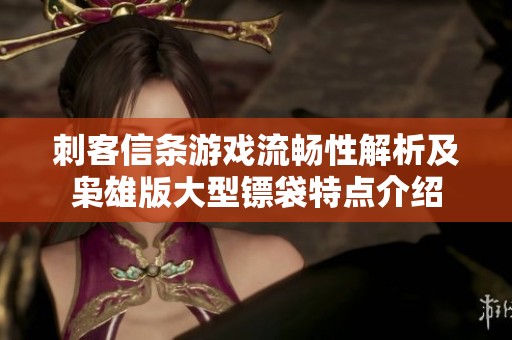 刺客信条游戏流畅性解析及枭雄版大型镖袋特点介绍