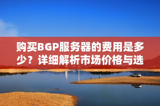 购买BGP服务器的费用是多少？详细解析市场价格与选择建议