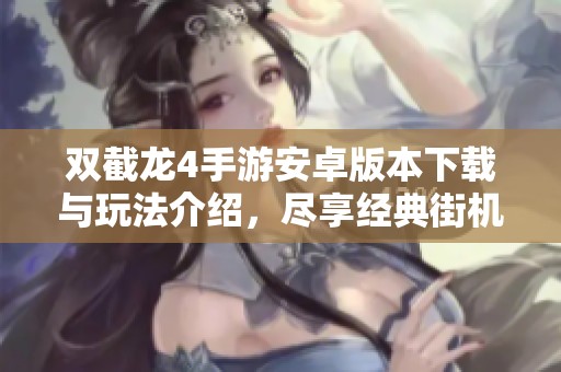 双截龙4手游安卓版本下载与玩法介绍，尽享经典街机快感