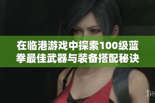 在临港游戏中探索100级蓝拳最佳武器与装备搭配秘诀