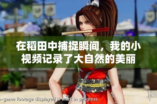 在稻田中捕捉瞬间，我的小视频记录了大自然的美丽