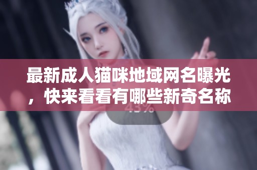最新成人猫咪地域网名曝光，快来看看有哪些新奇名称