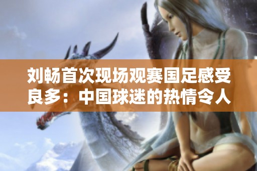 刘畅首次现场观赛国足感受良多：中国球迷的热情令人震撼