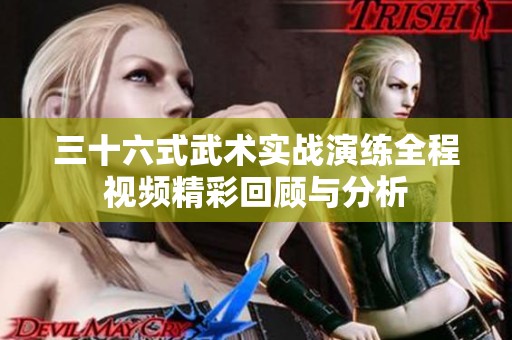 三十六式武术实战演练全程视频精彩回顾与分析
