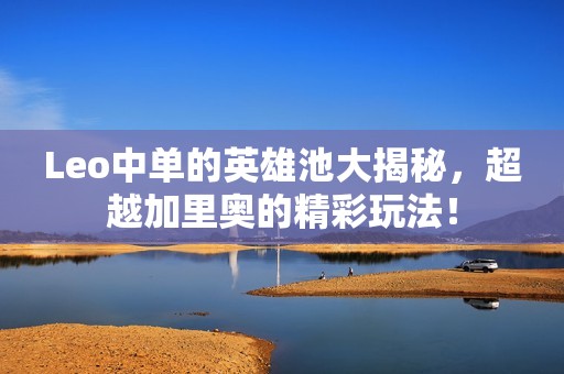 Leo中单的英雄池大揭秘，超越加里奥的精彩玩法！